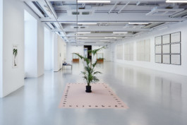 Achim Hatzius photography