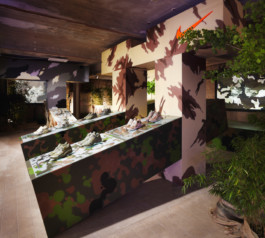 Achim Hatzius photography