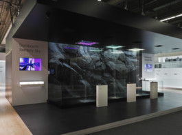 Achim Hatzius photography