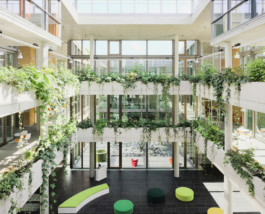 Achim Hatzius photography