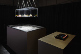 Achim Hatzius photography