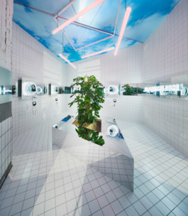 Achim Hatzius photography