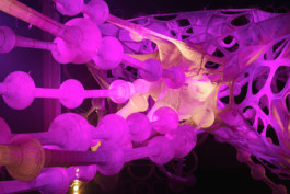 Achim Hatzius photography